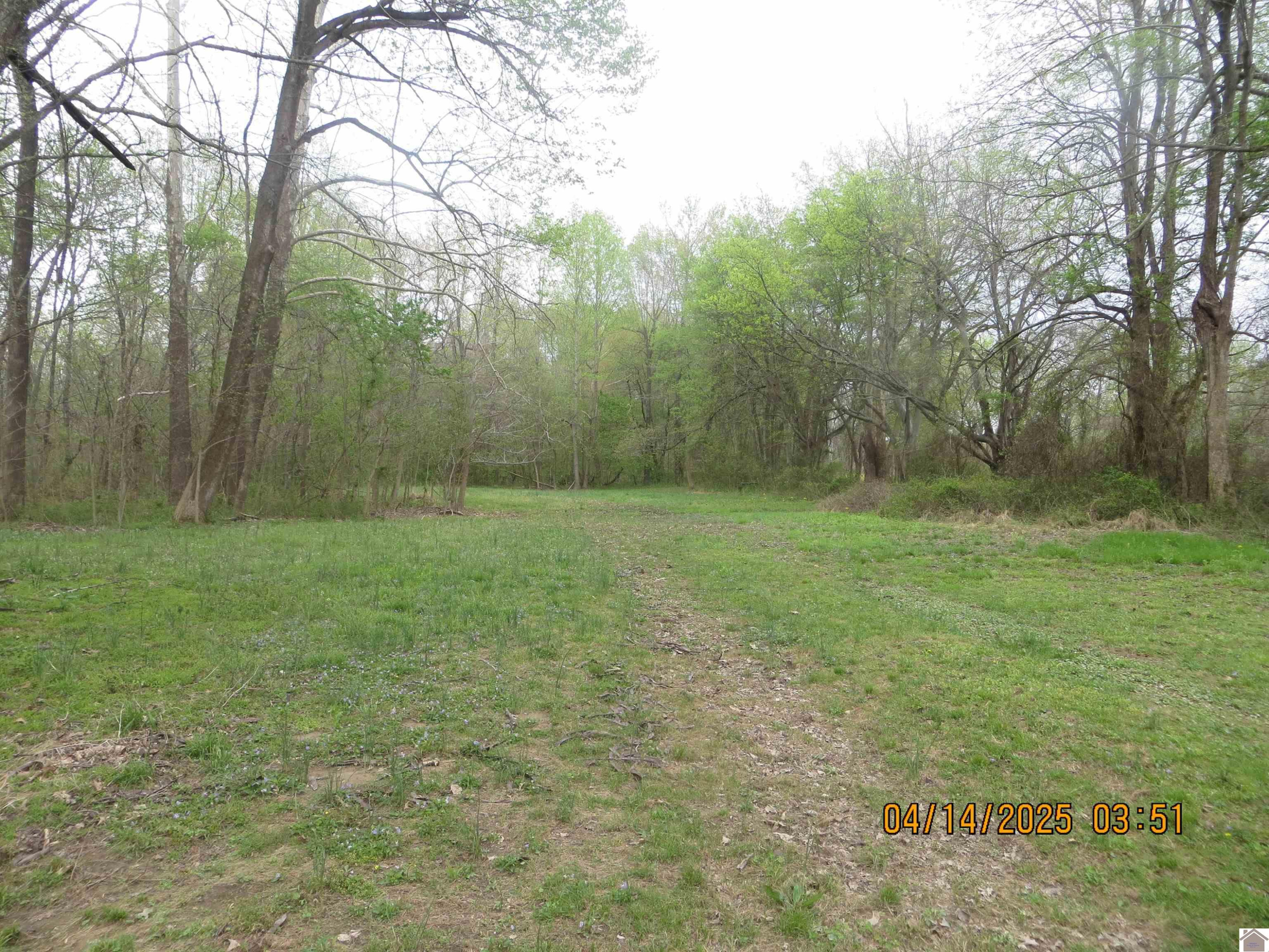 768 Flournoy Road Wickliffe, KY 42087 - Photo 43 of 45 Photo 43