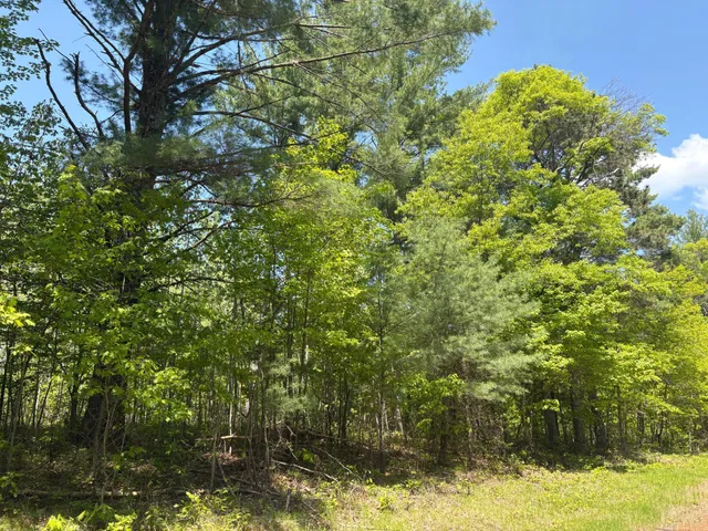 $6,000 | Xxxxx Xxxxx Eagle Drive, Webster, WI 54893