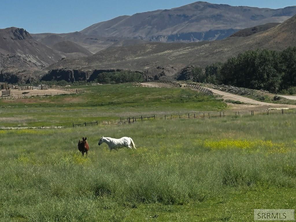 6 Homestead Trail Challis, ID 83226 - Photo 2 of 36