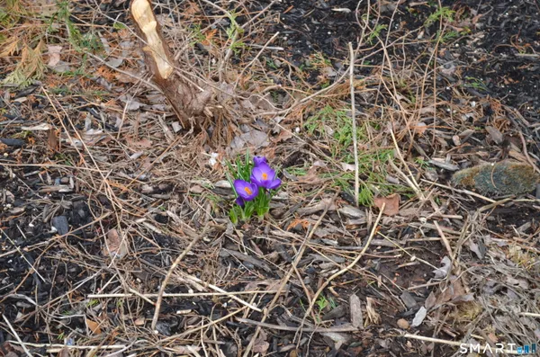 $389,900 | 237 New Britain Avenue, Newington, CT 06111