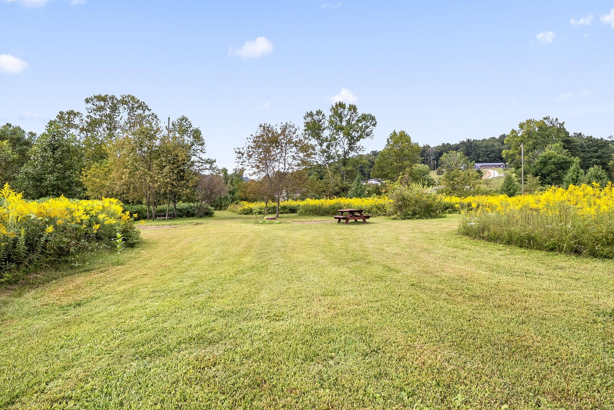 48-web-or-mls-DSC05284