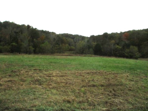 a view of grassy field with mountain