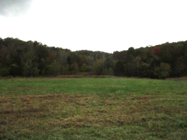 798 Red Tuttle Road Bethpage, TN 37022 - Photo 2 of 11 a view of a backyard with green space