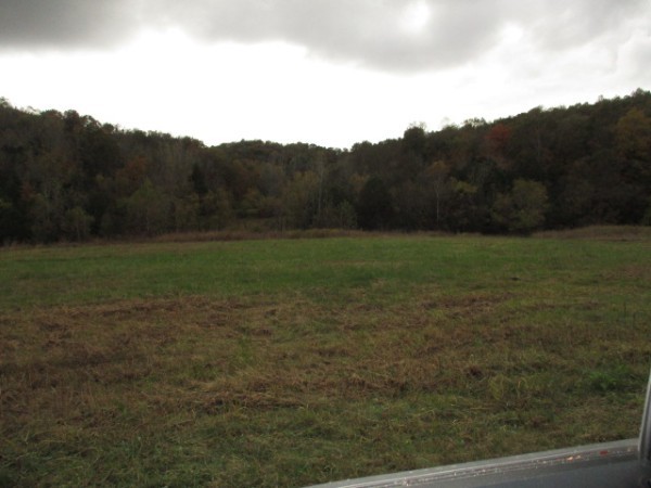798 Red Tuttle Road Bethpage, TN 37022 - Photo 3 of 11 a view of an outdoor space and a yard