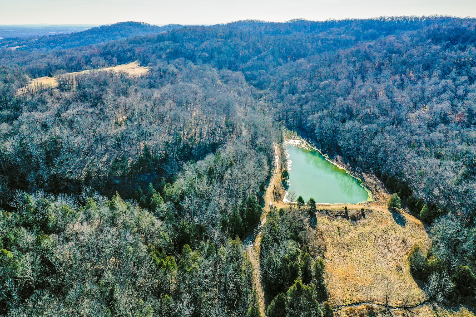 798 Red Tuttle Road Bethpage, TN 37022 - Photo 9 of 11 a view of a house with a lush green forest