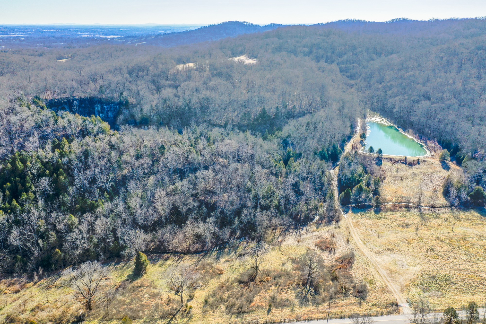 798 Red Tuttle Road Bethpage, TN 37022 - Photo 10 of 11 a view of a dry yard with green space
