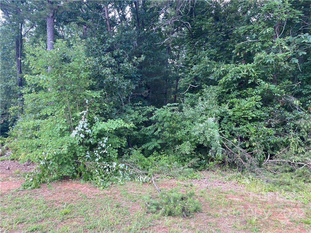 165 Riverdell Road, Unit 165 Hickory, NC 28601 - Photo 2 of 3 Gallery Image 2