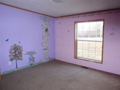 110 East Lever Road Hart, MI 49420 - Photo 6 of 15 Additional Photo