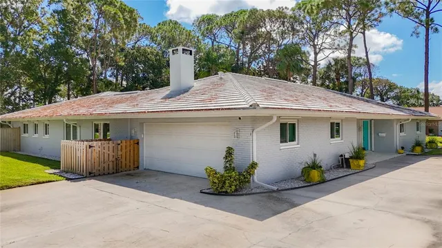 a living room with dining table a window and a potted plant