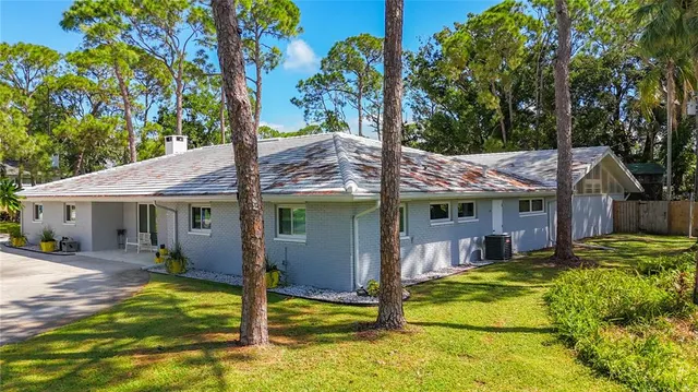 a living room with dining table a rug potted plant and a window