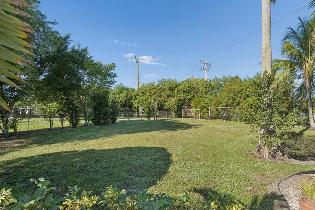a big yard with palm trees