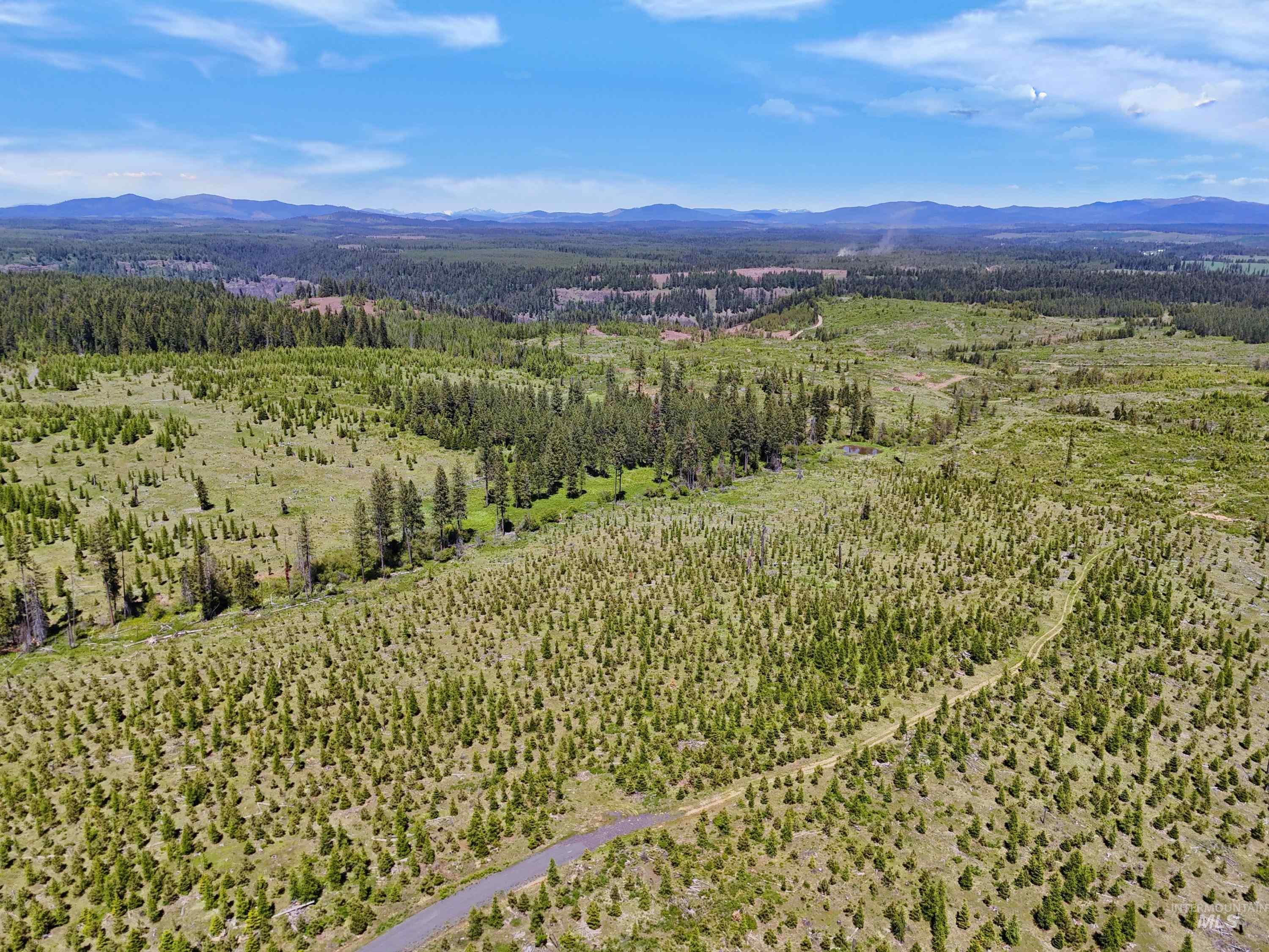 0 Timberline Heights Weippe, ID 83553 - Photo 2 of 12