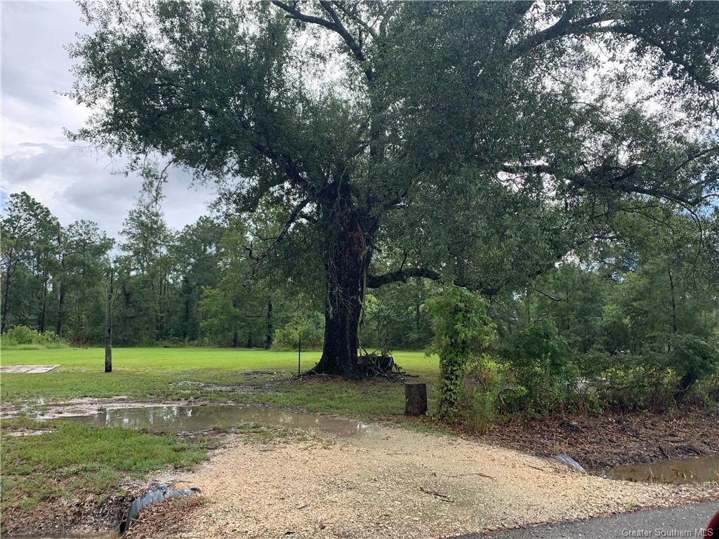 0 Brahman Drive Ragley, LA 70657 - Photo 2 of 9