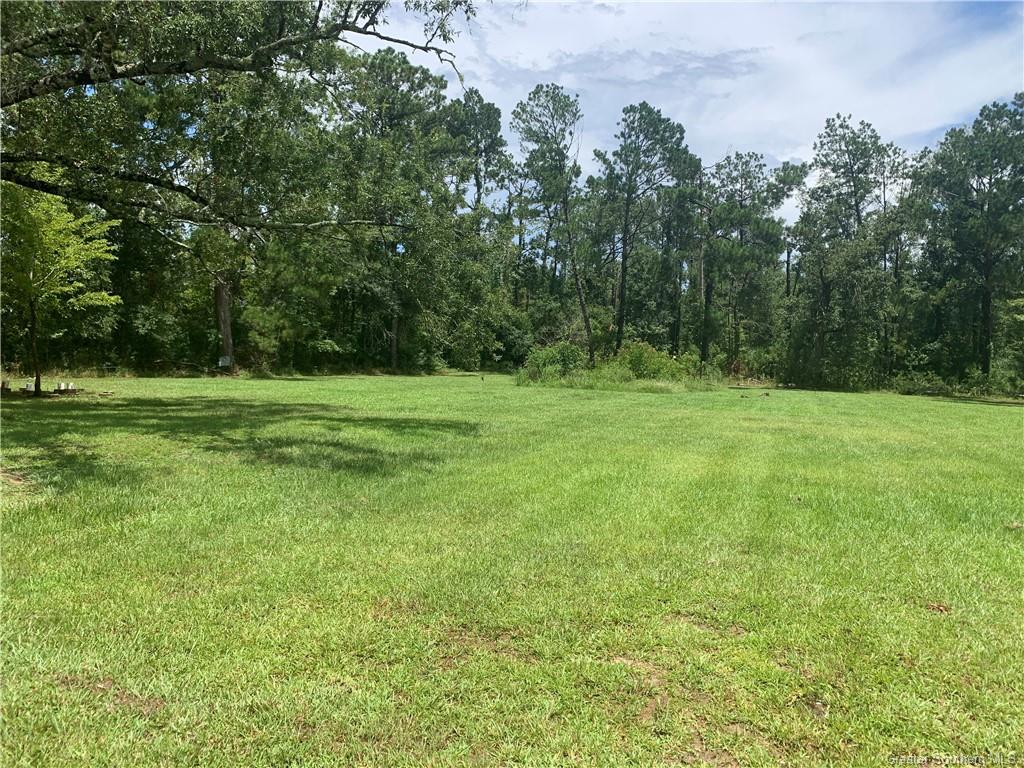 0 Brahman Drive Ragley, LA 70657 - Photo 3 of 9