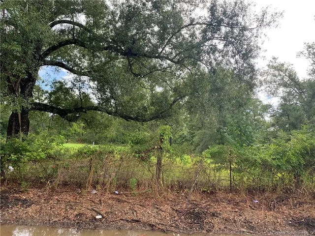 $24,000 | 0 Brahman Drive, Ragley, LA 70657