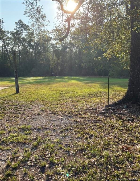 0 Brahman Drive Ragley, LA 70657 - Photo 5 of 9