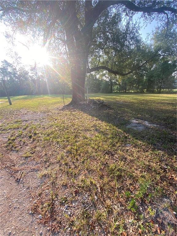 0 Brahman Drive Ragley, LA 70657 - Photo 9 of 9