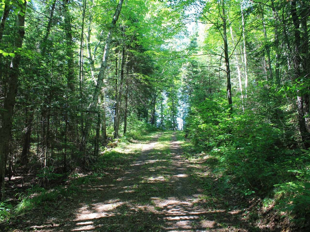 2892 Bisenius Road Park Falls, WI 54552 - Photo 30 of 39 Gallery Image 30