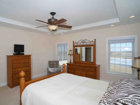 7676 Wesley Chapel Road Chatham, IL 62629 - Photo 9 of 22