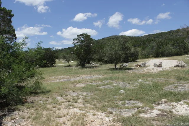 a view of outdoor space with green field and trees