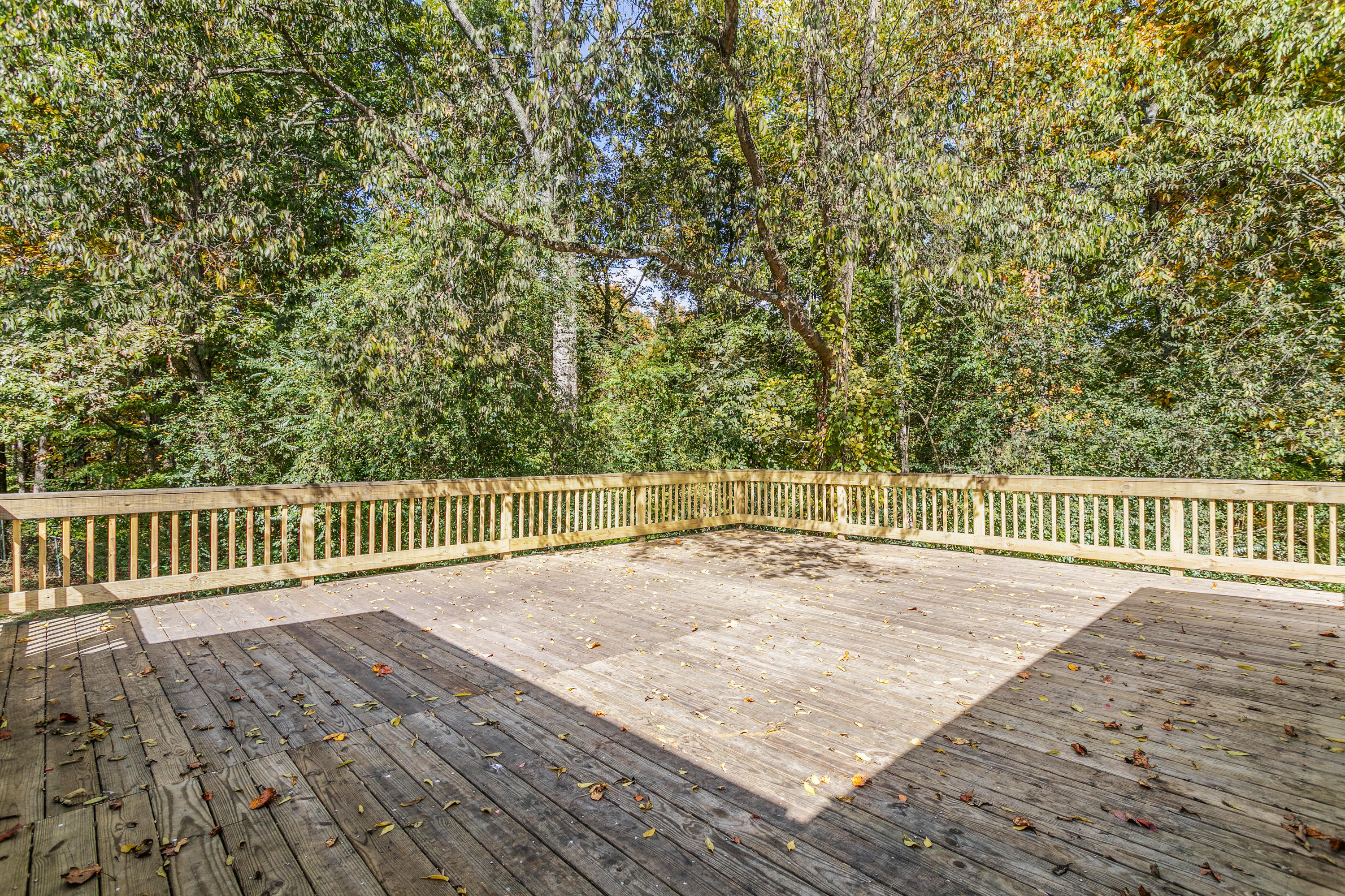 411 Anderson Road Ringgold, GA 30736 - Photo 15 of 21 411 Anderson Dr_Back Deck 2