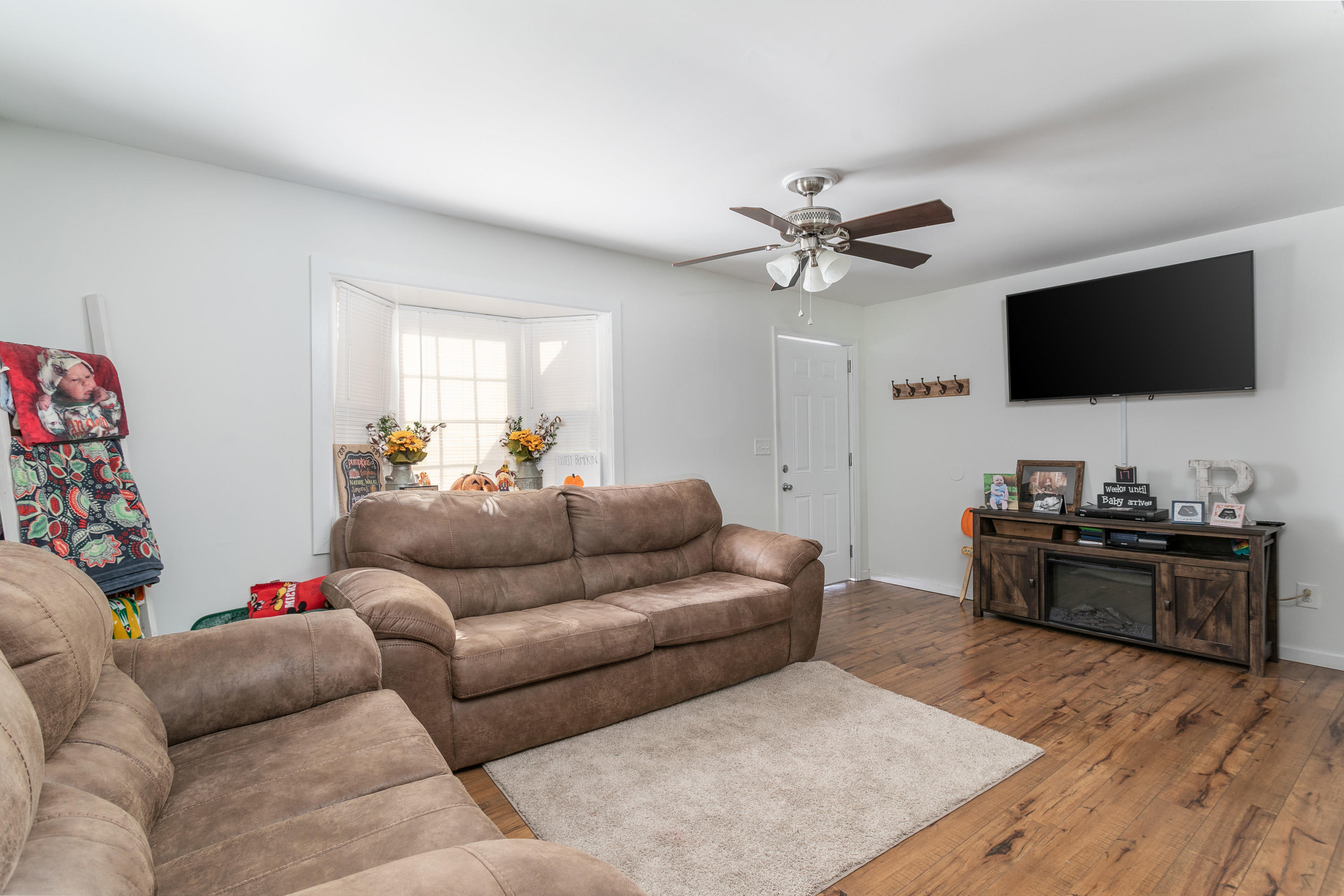411 Anderson Dr_Living Room
