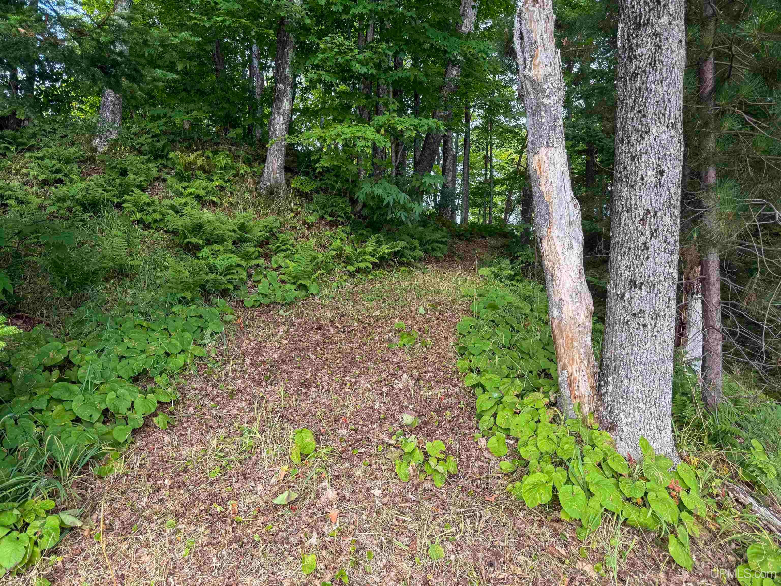 11367 Des Rochers Road Pelkie, MI 49958 - Photo 7 of 9 Gallery Image 7
