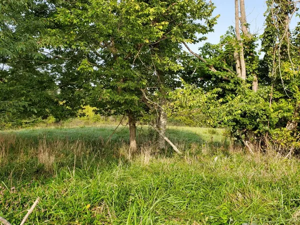 $34,900 | 0 Sr 56, Vevay, IN 47043