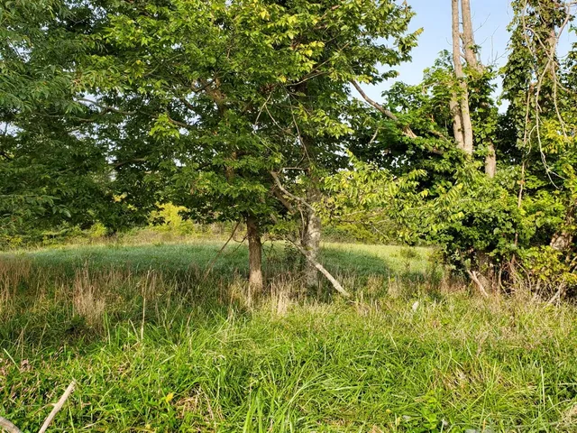 $34,900 | 0 Sr 56, Vevay, IN 47043