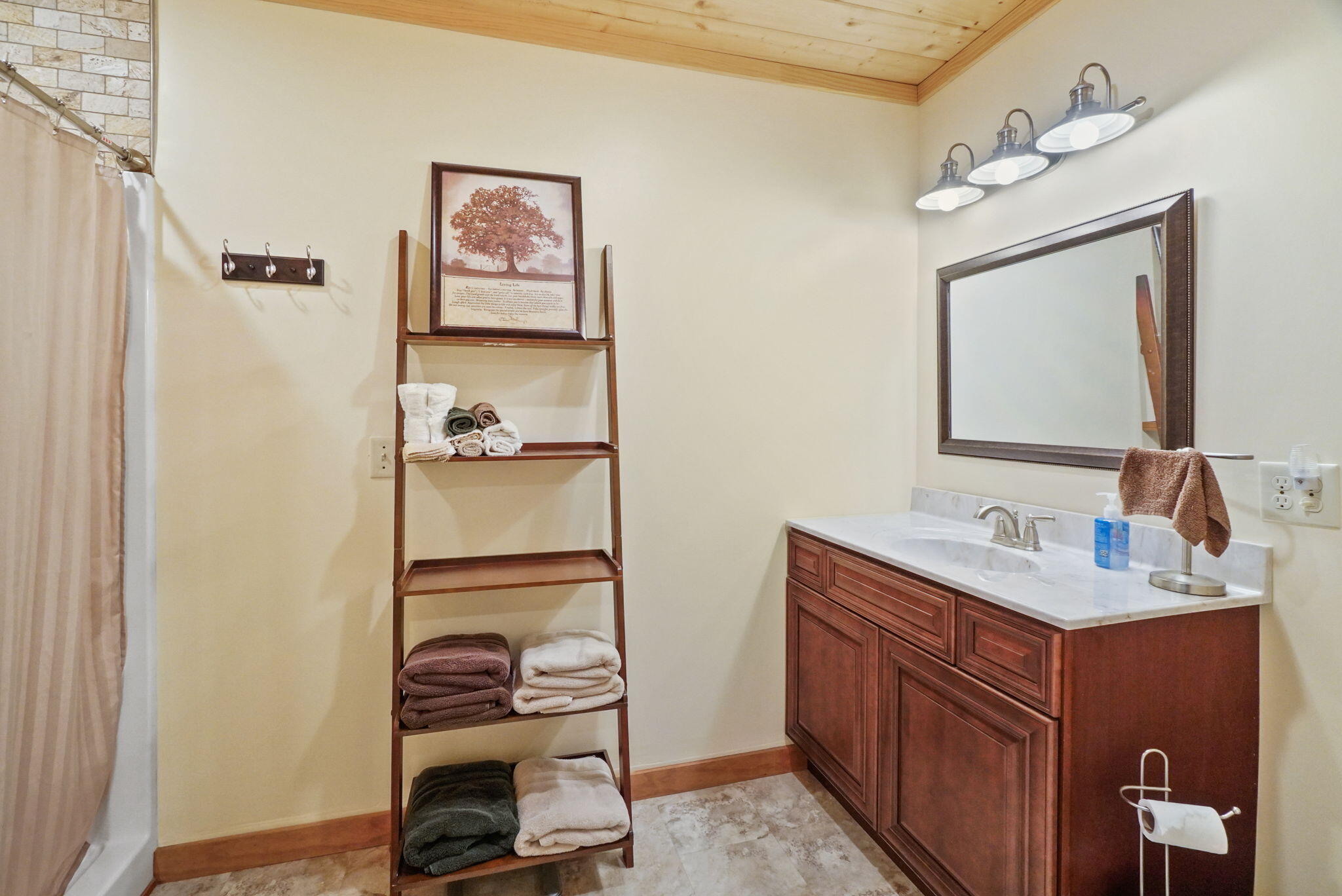 669 Big Hollow Road Blountville, TN 37617 - Photo 37 of 55 28-web-or-mls-JH-Mon 20220725-269a