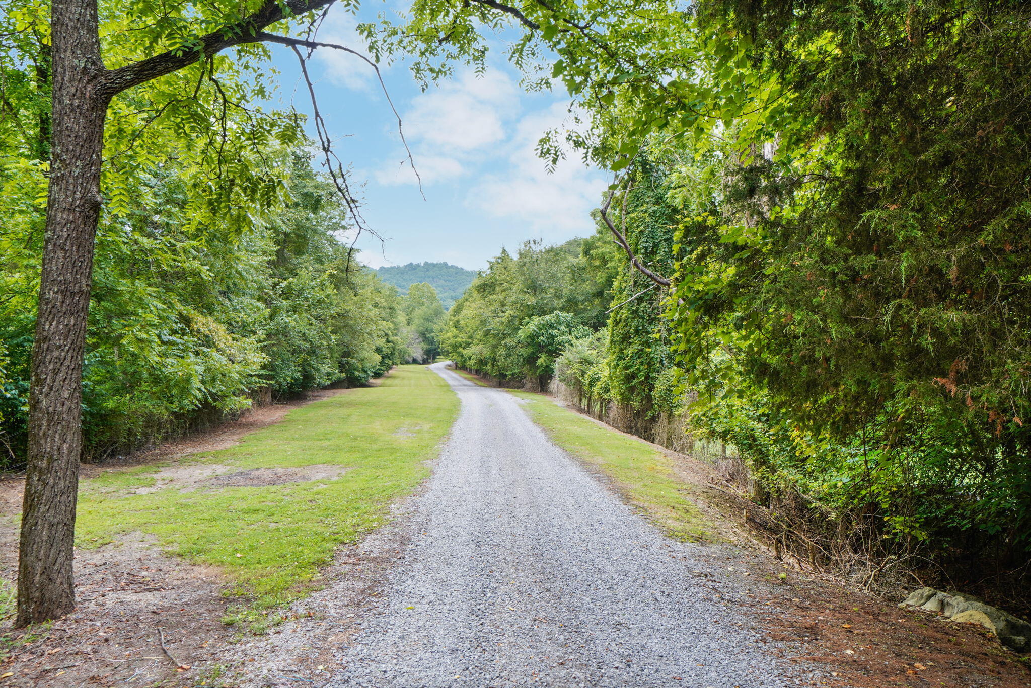 669 Big Hollow Road Blountville, TN 37617 - Photo 43 of 55 47-web-or-mls-JH-Mon 20220725-400a