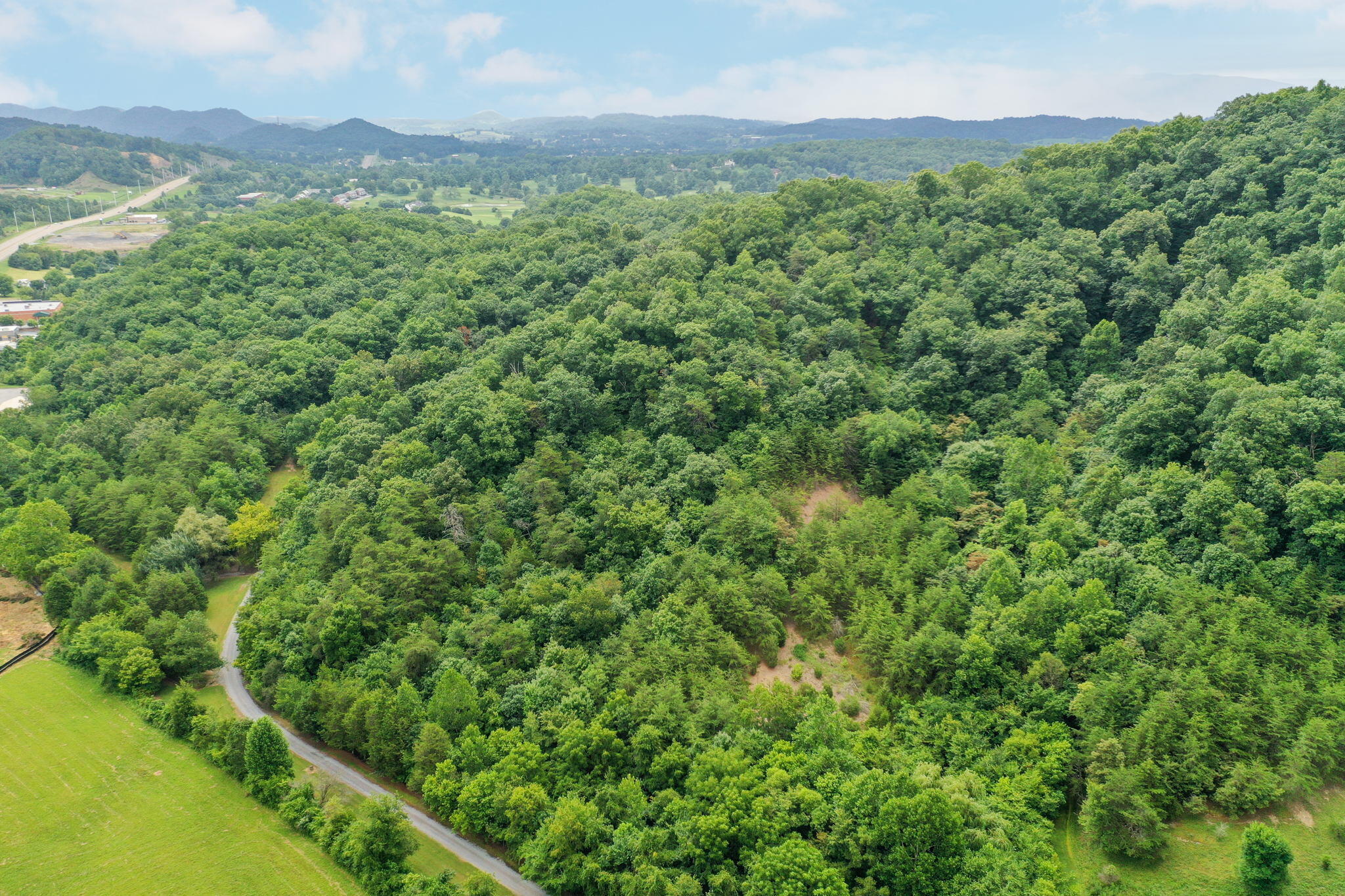 669 Big Hollow Road Blountville, TN 37617 - Photo 44 of 55 48-web-or-mls-JH-Mon 20220725-407a