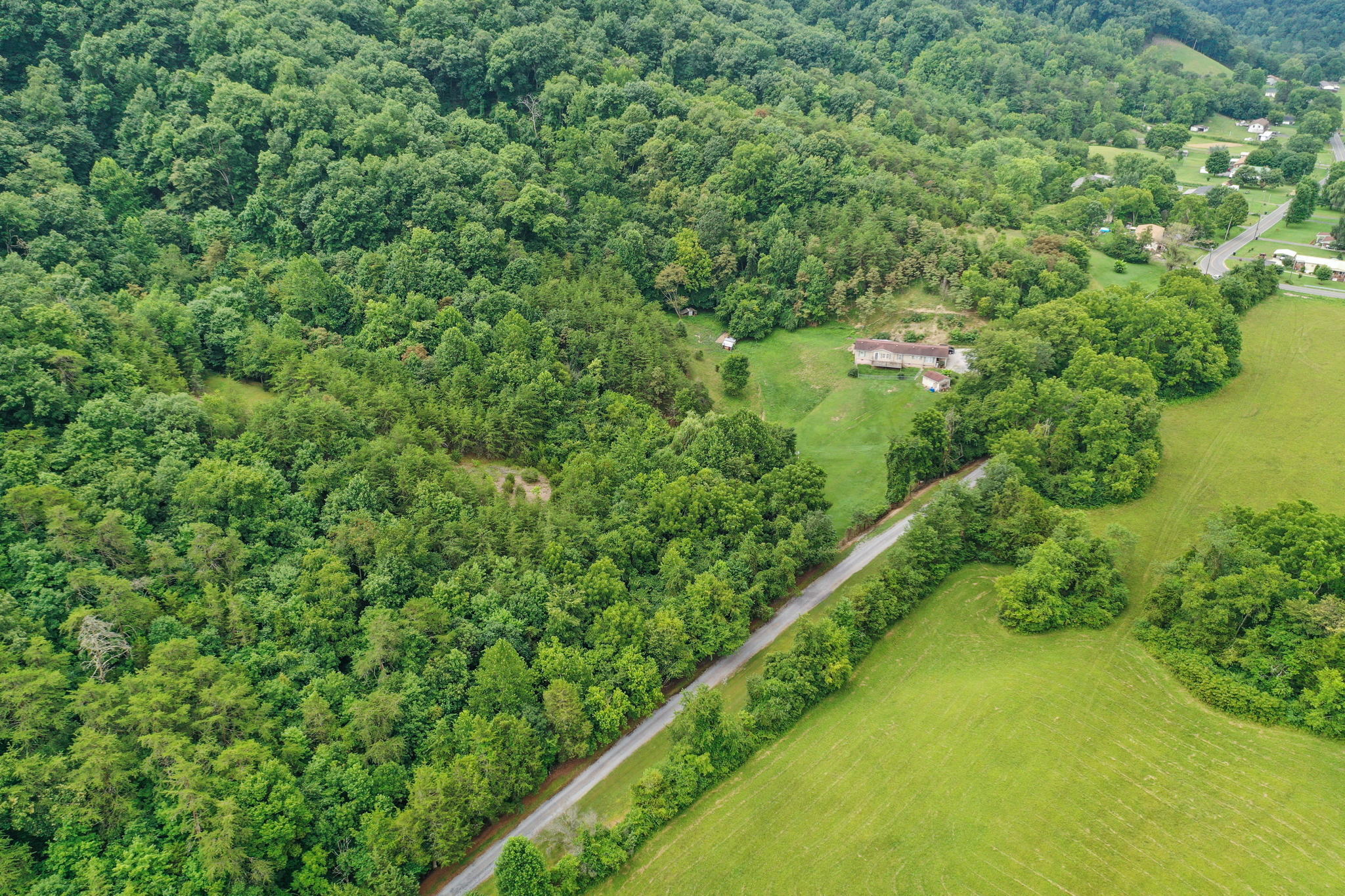 669 Big Hollow Road Blountville, TN 37617 - Photo 45 of 55 49-web-or-mls-JH-Mon 20220725-409a