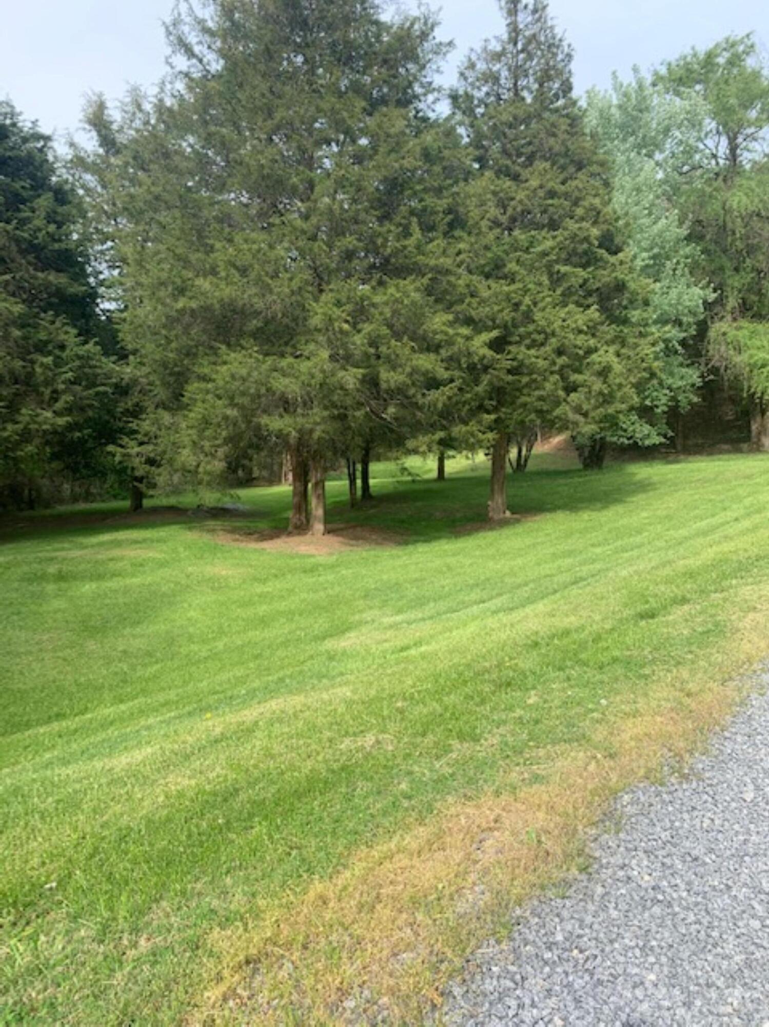 669 Big Hollow Road Blountville, TN 37617 - Photo 46 of 55 IMG_7187