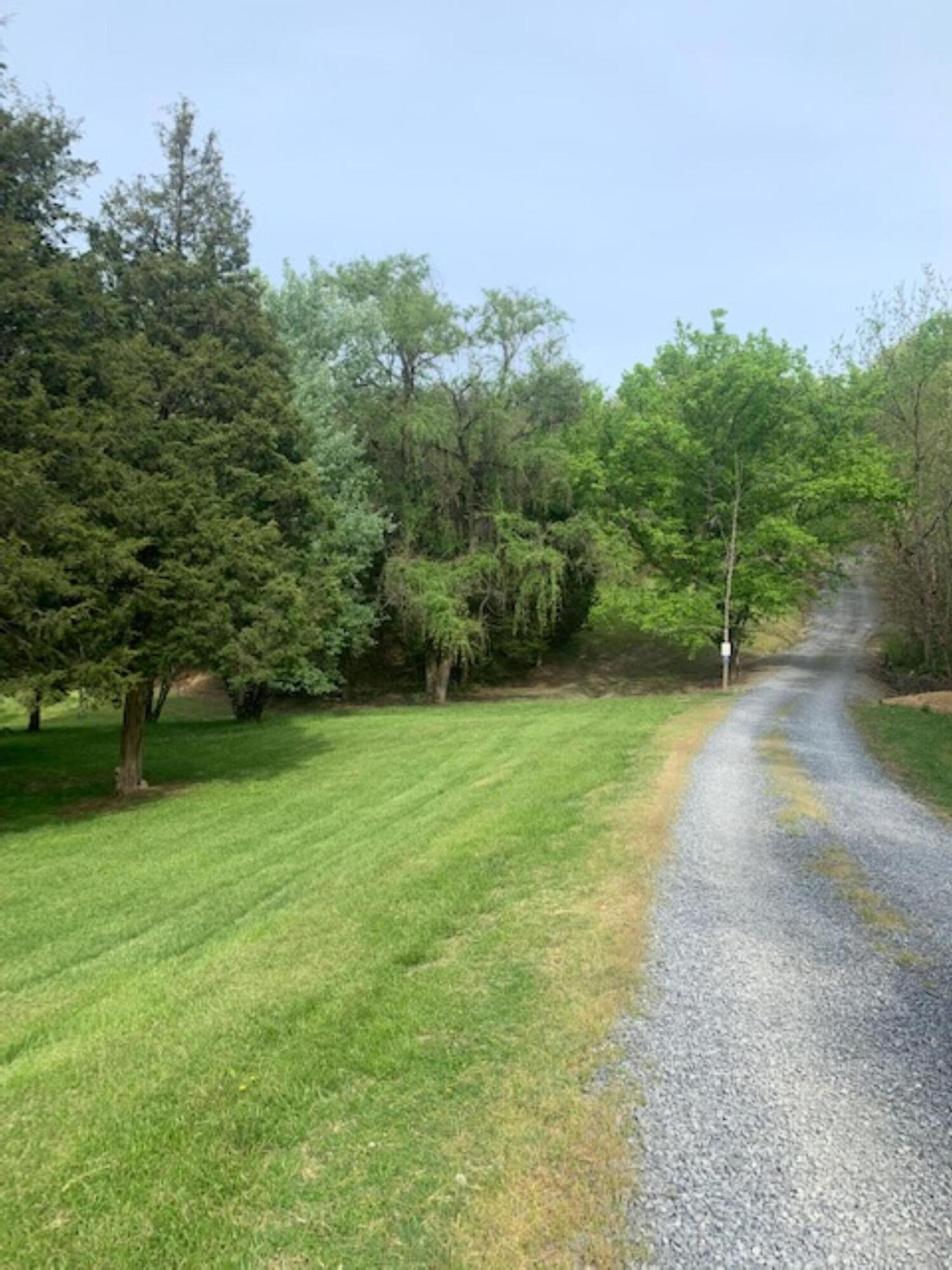 669 Big Hollow Road Blountville, TN 37617 - Photo 47 of 55 IMG_7190