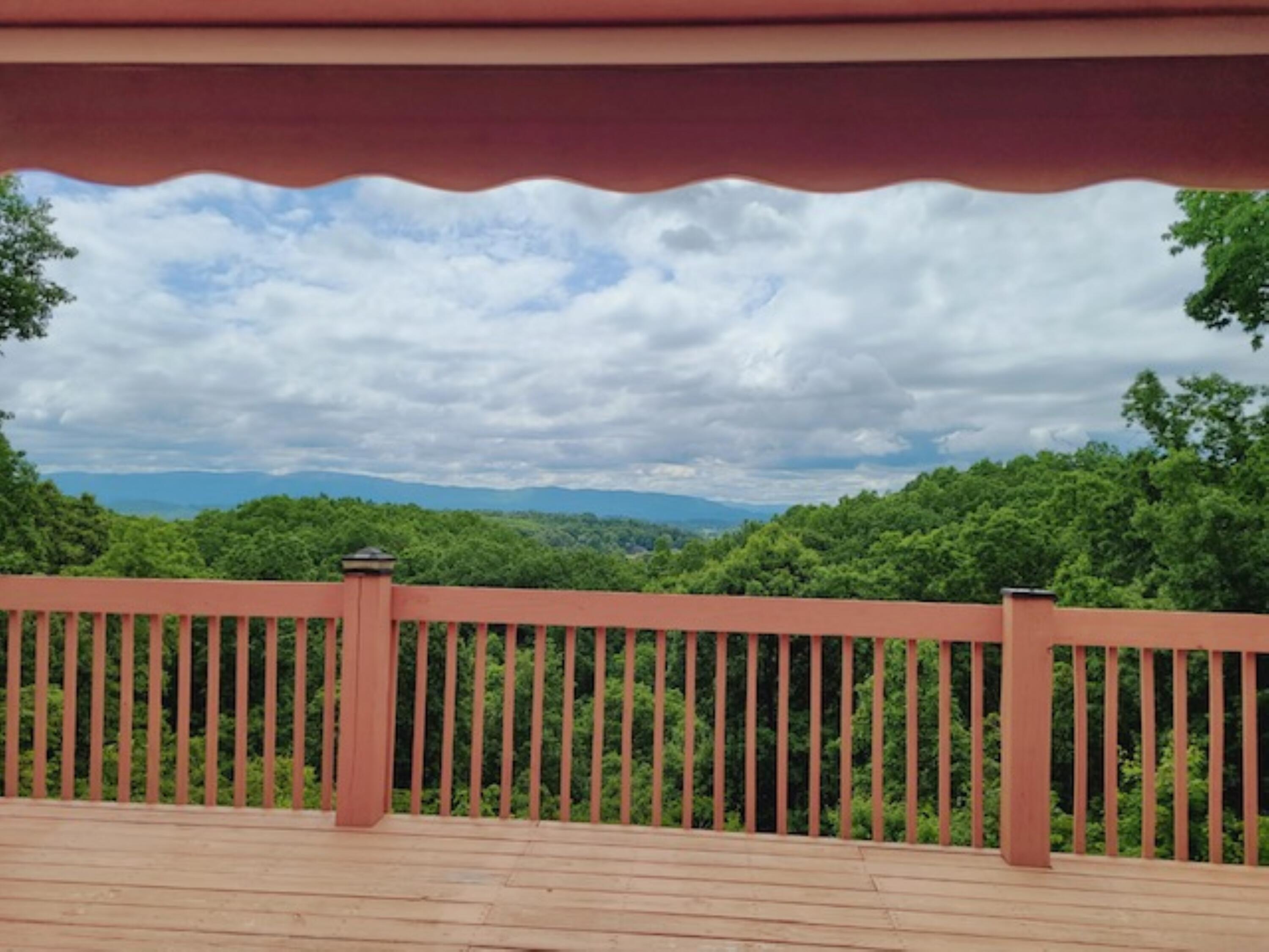 669 Big Hollow Road Blountville, TN 37617 - Photo 48 of 55 Big Hollow best view