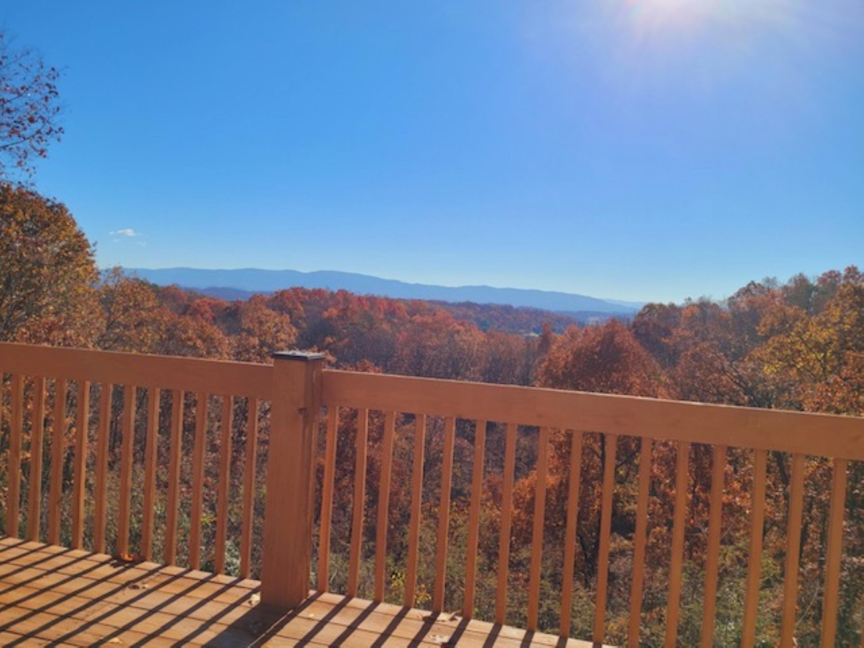 669 Big Hollow Road Blountville, TN 37617 - Photo 50 of 55 Big Hollow Fall View