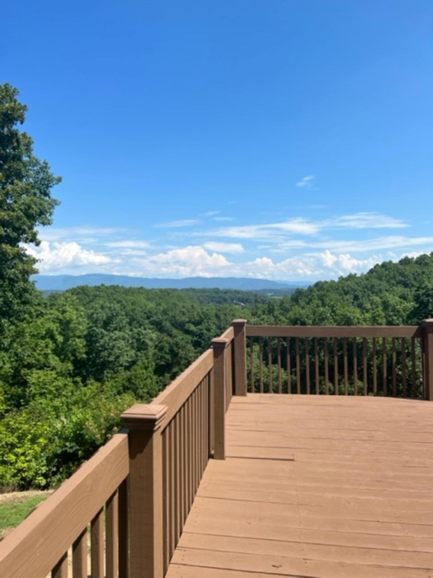 669 Big Hollow Road Blountville, TN 37617 - Photo 51 of 55 Big Hollow Mtn View