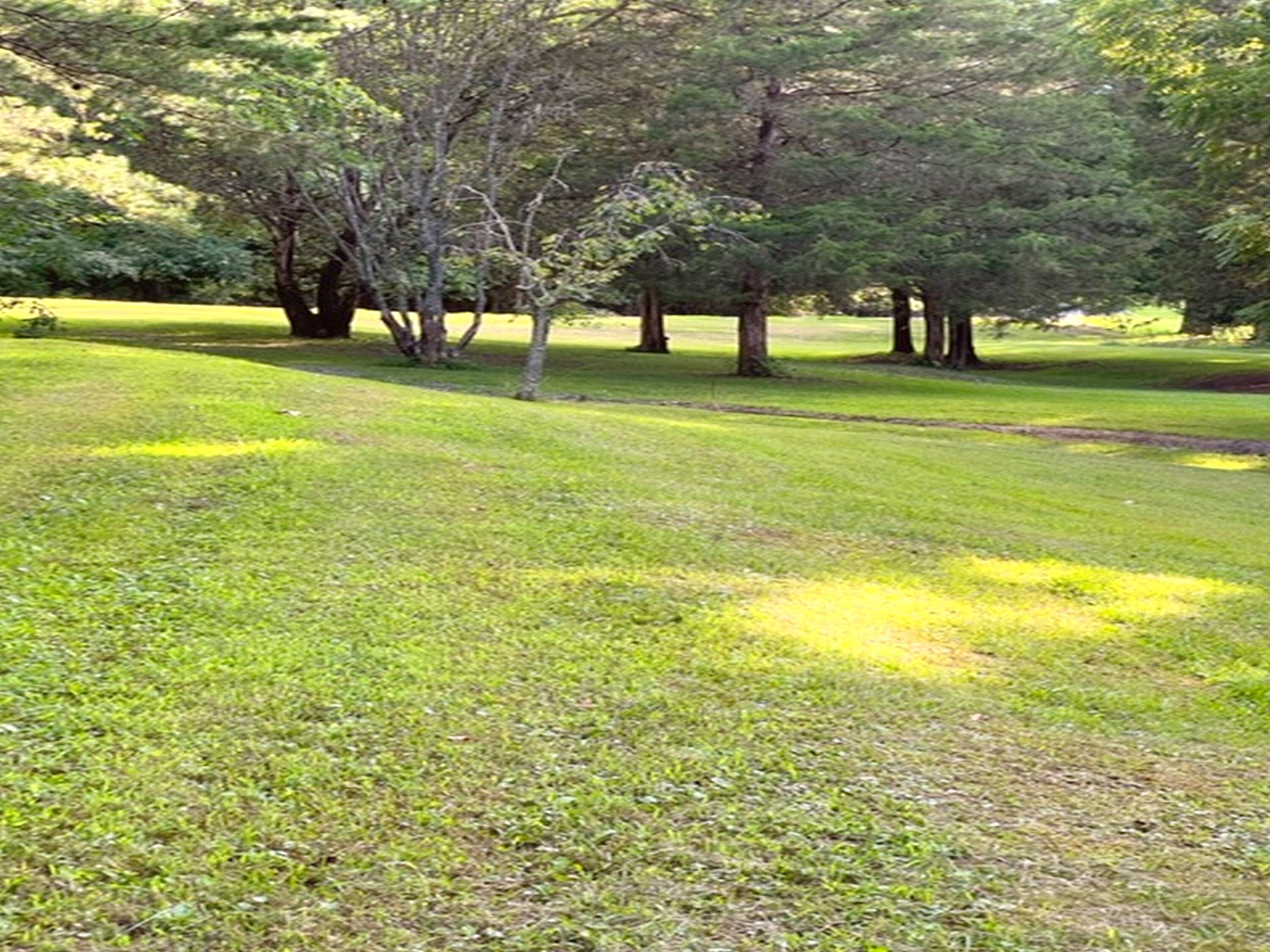 669 Big Hollow Road Blountville, TN 37617 - Photo 53 of 55 Big Hollow acreage