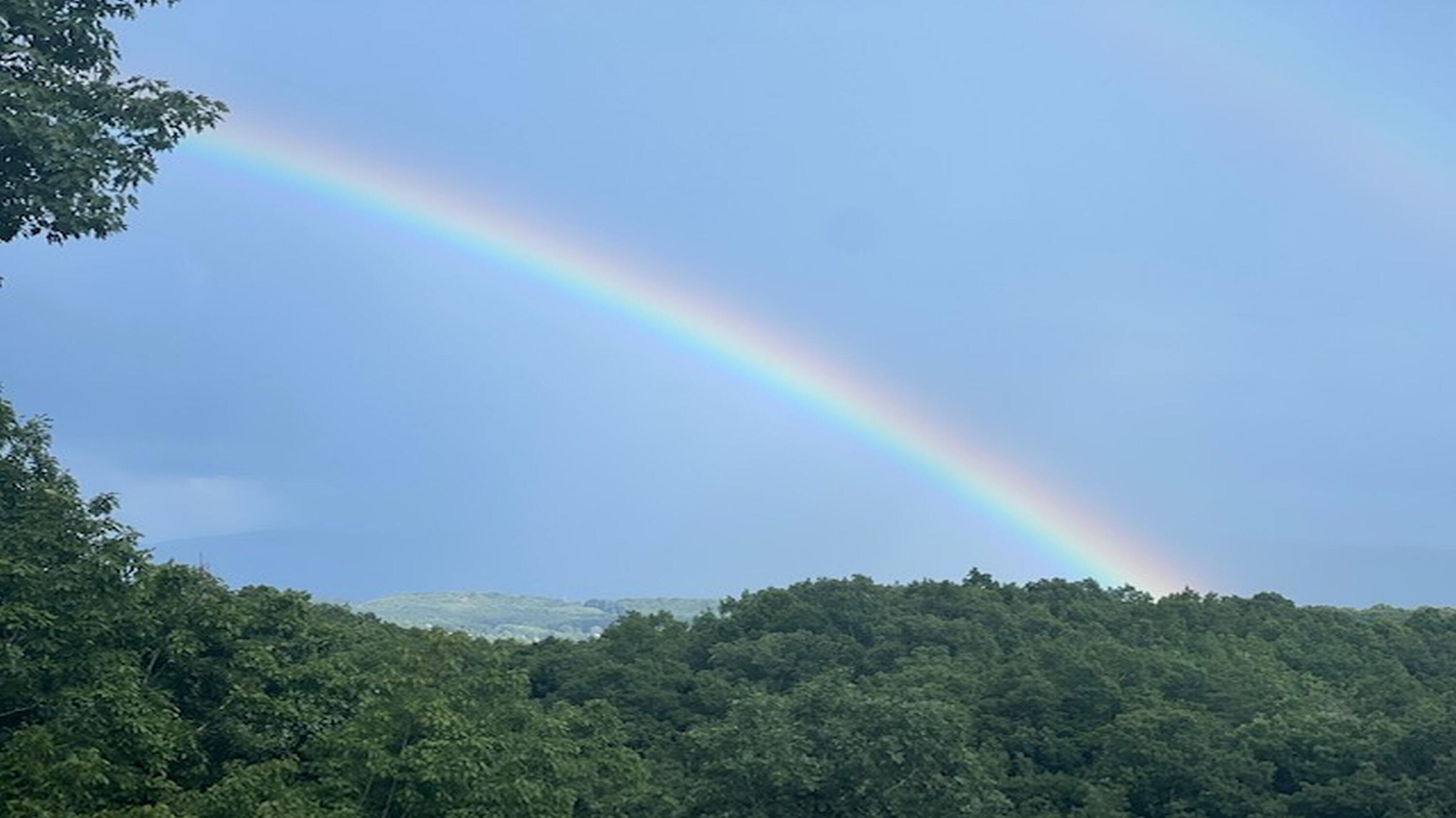 669 Big Hollow Road Blountville, TN 37617 - Photo 55 of 55 Big Hollow Rainbow