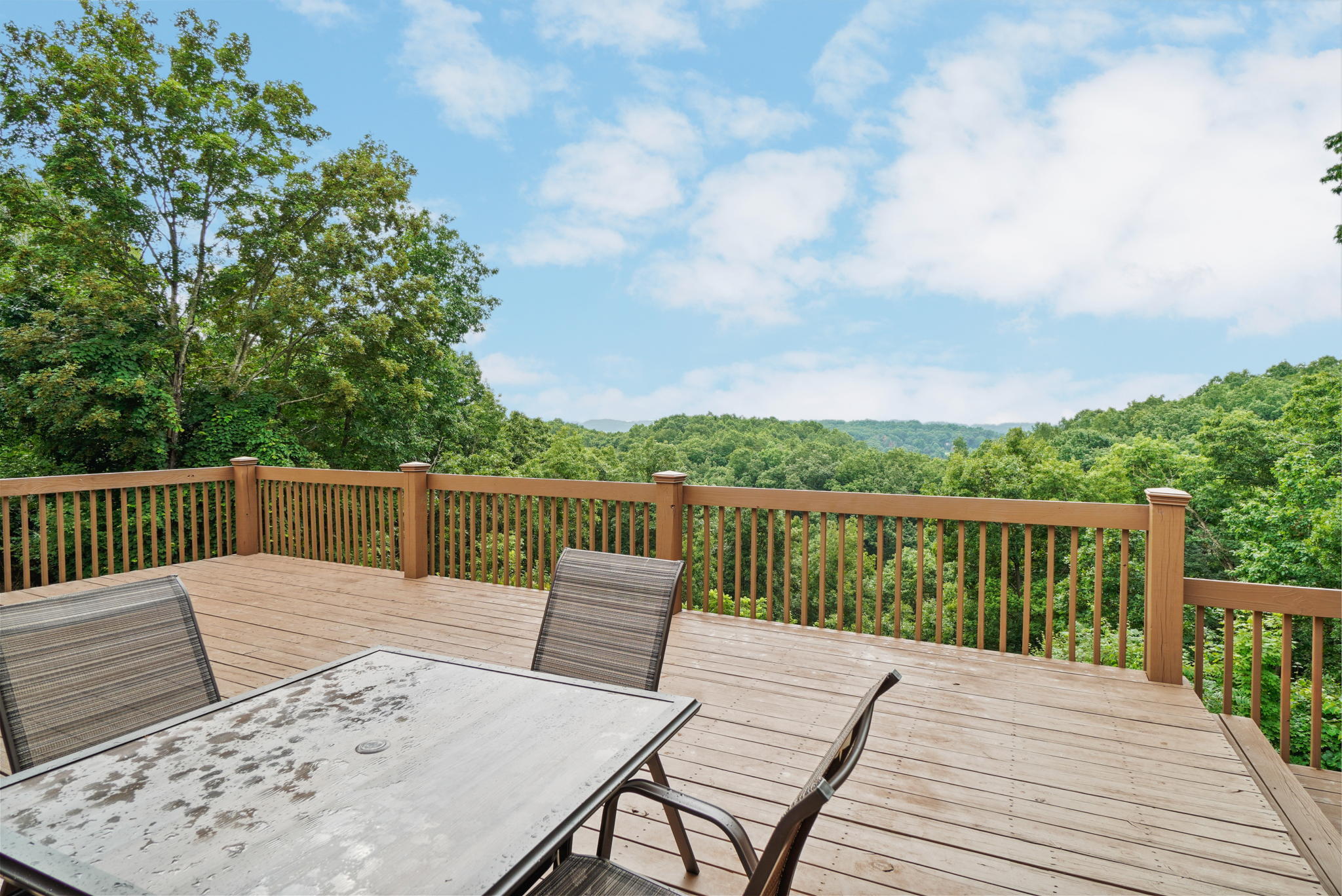 669 Big Hollow Road Blountville, TN 37617 - Photo 9 of 55 2-web-or-mls-JH-Mon 20220725-134a