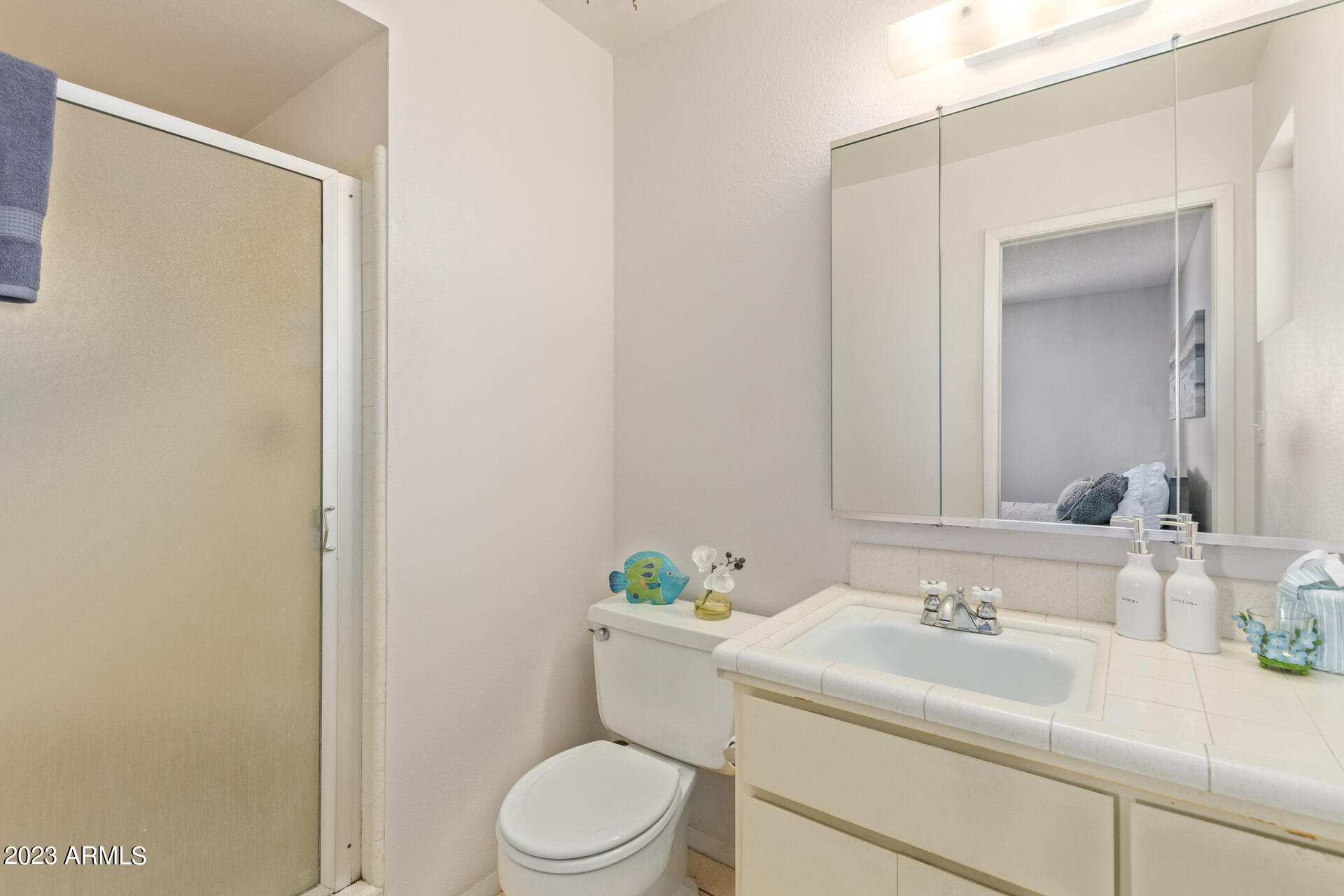 6416 East Adobe Road Mesa, AZ 85205 - Photo 14 of 26 Master bath