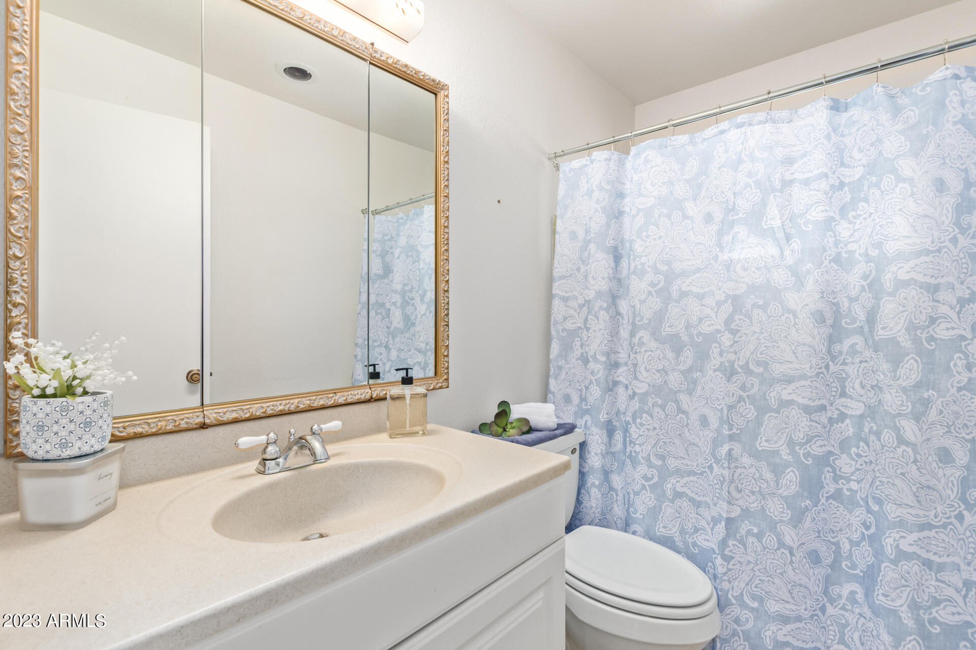 6416 East Adobe Road Mesa, AZ 85205 - Photo 17 of 26 Hall bath