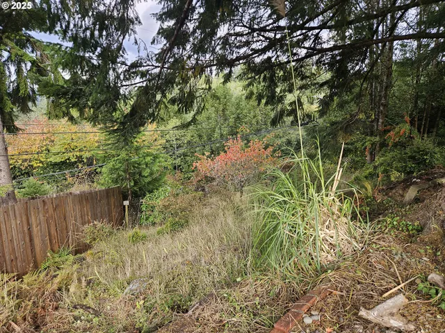 a backyard of a house with lots of green space
