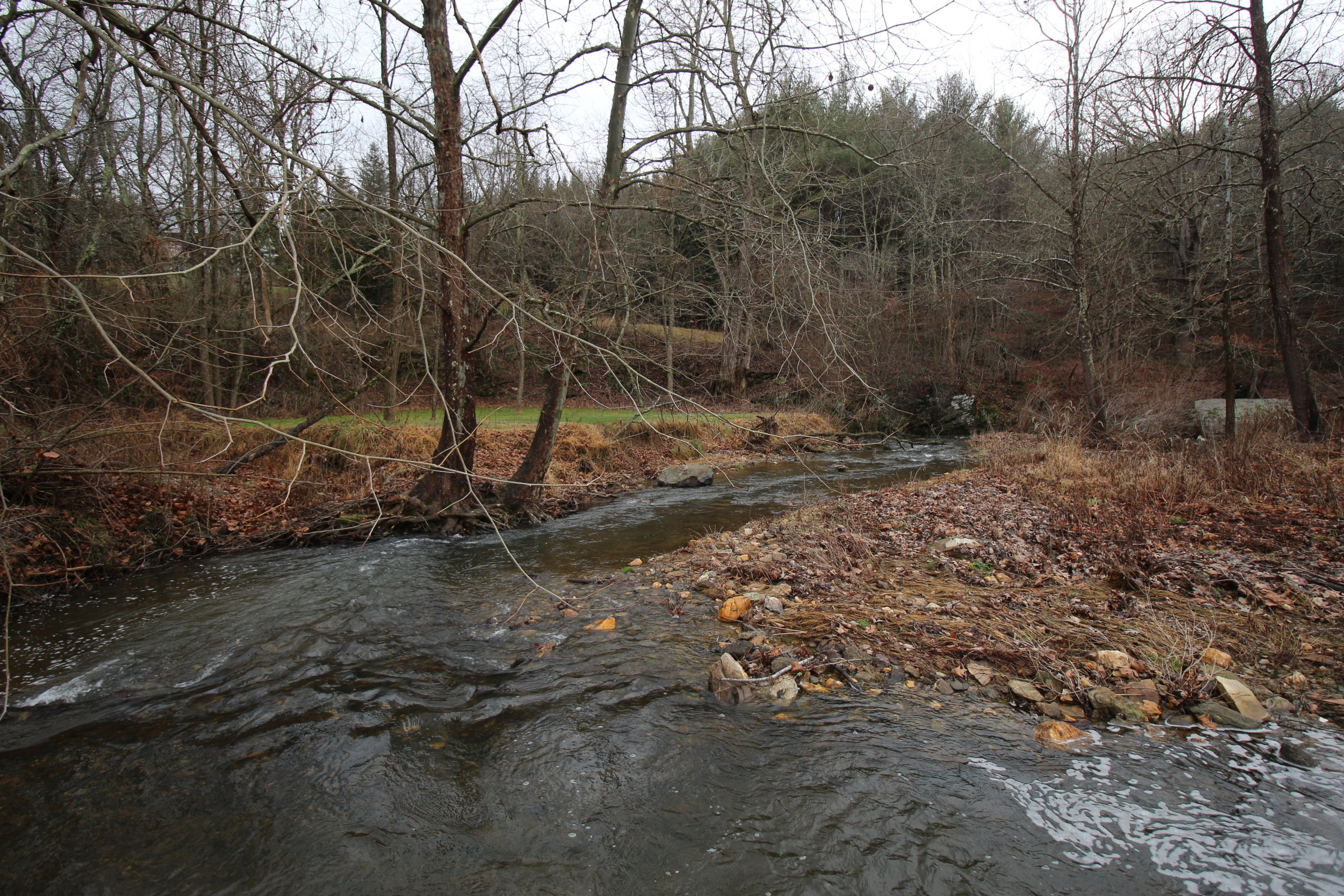 4944 Brush Creek Road Riner, VA 24149 - Photo 48 of 74 300 dpi1