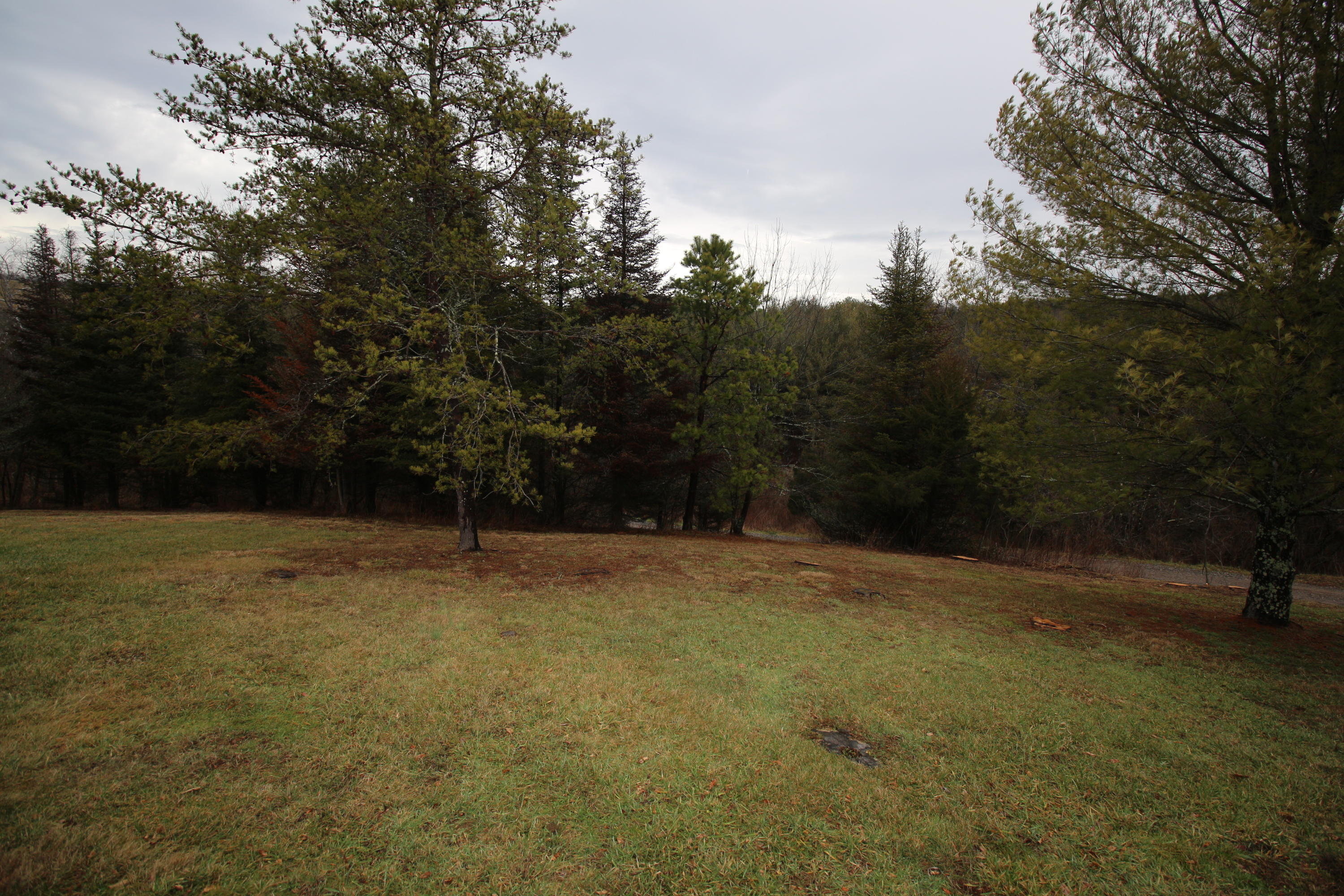 4944 Brush Creek Road Riner, VA 24149 - Photo 51 of 74 300 dpi12