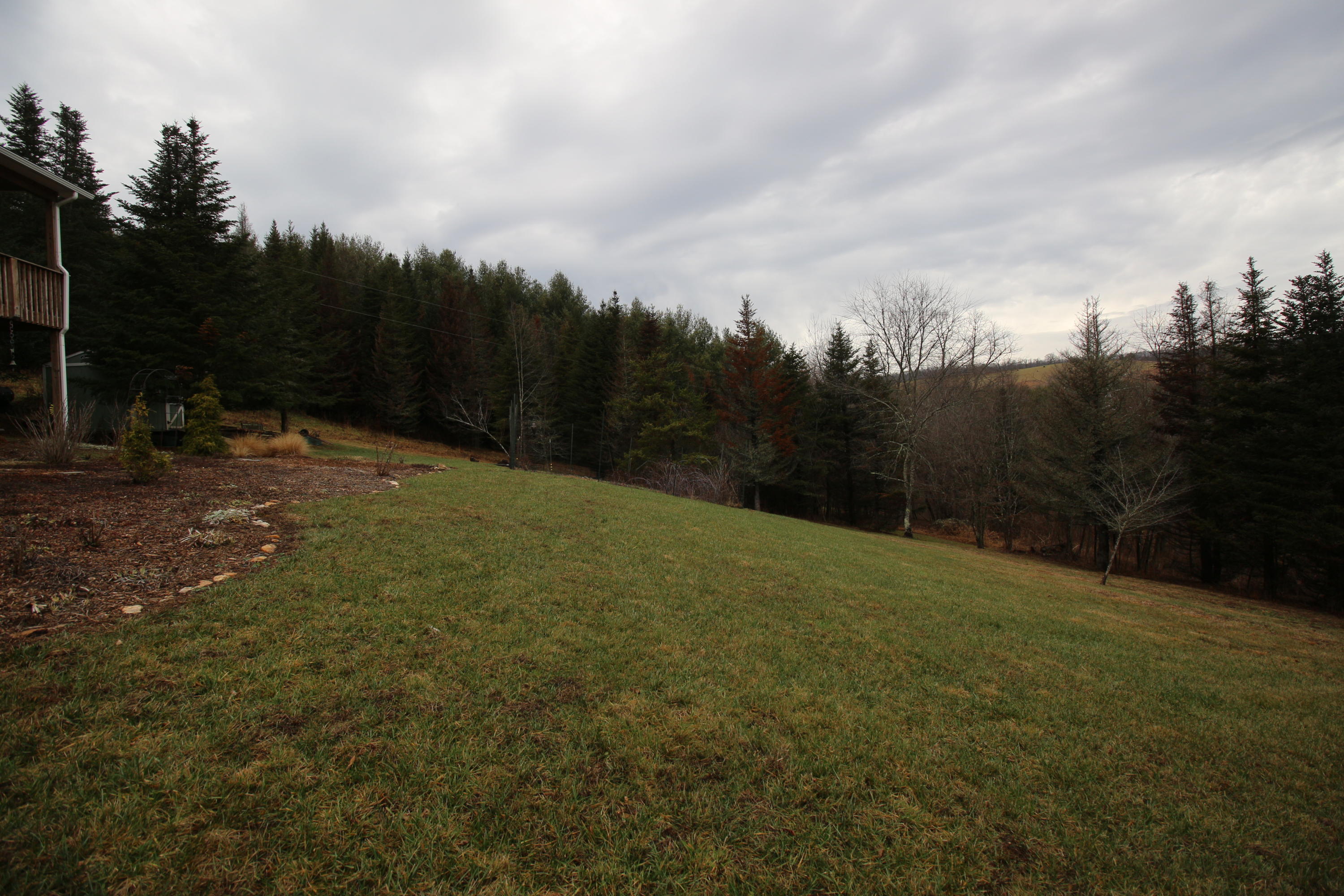 4944 Brush Creek Road Riner, VA 24149 - Photo 52 of 74 300 dpi13