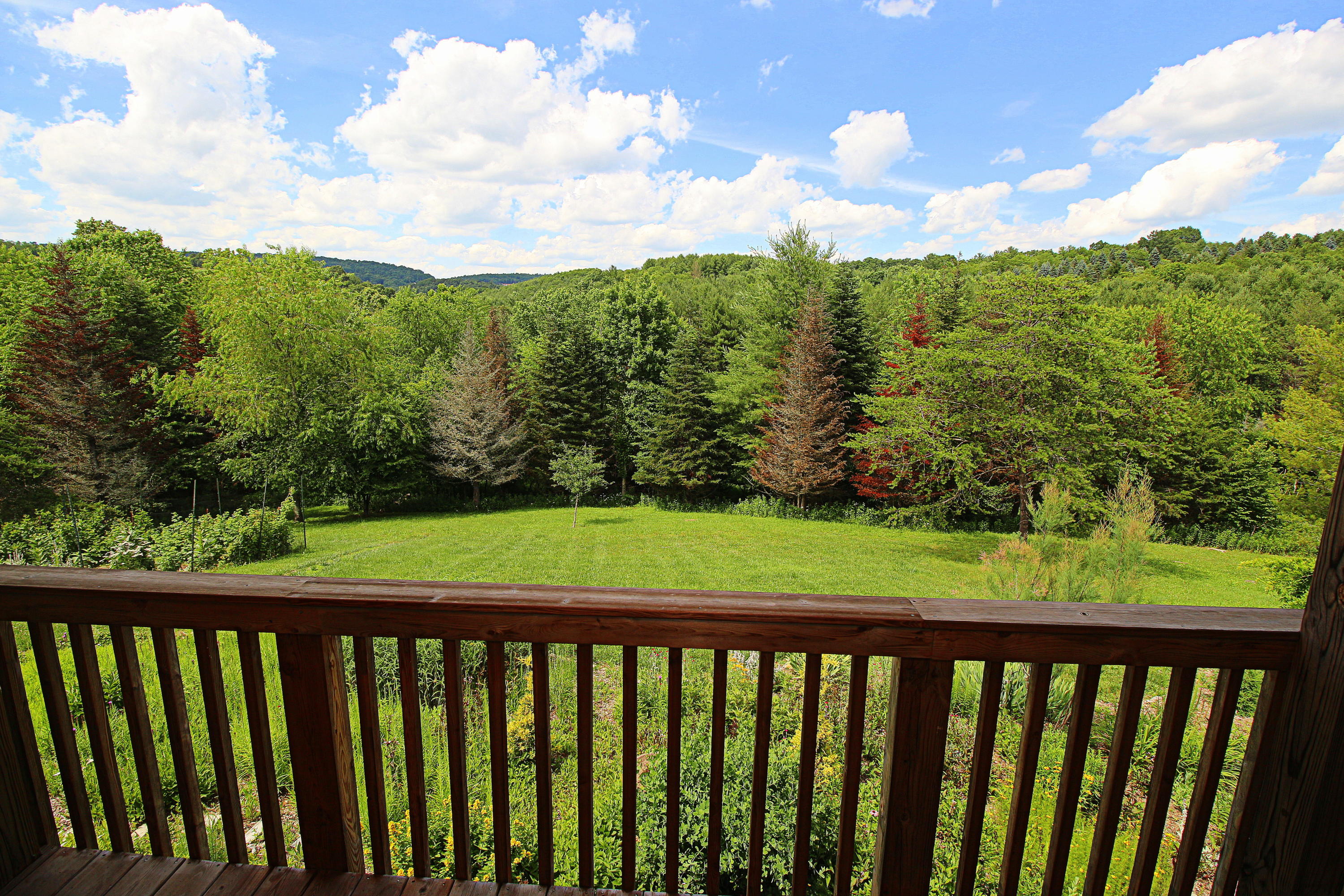 4944 Brush Creek Road Riner, VA 24149 - Photo 69 of 74 300 dpi12