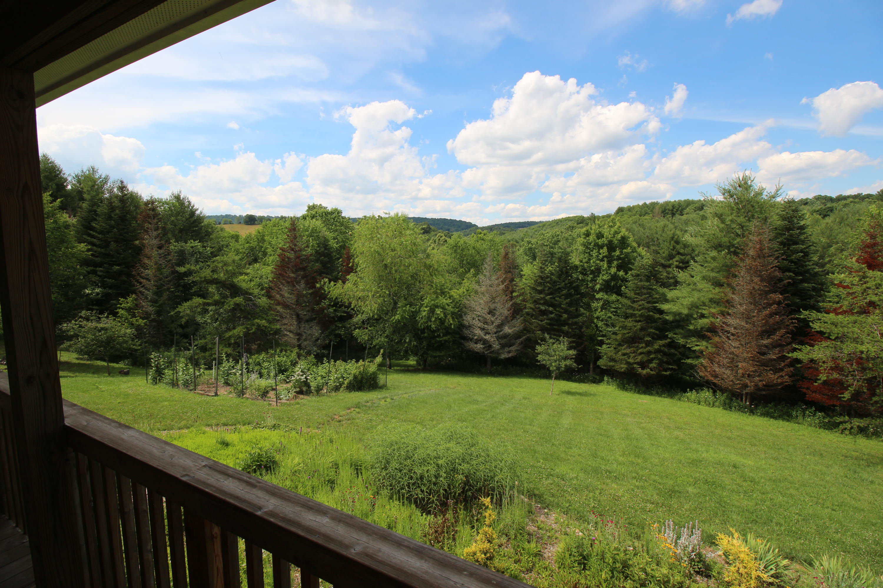 4944 Brush Creek Road Riner, VA 24149 - Photo 72 of 74 300 dpi15