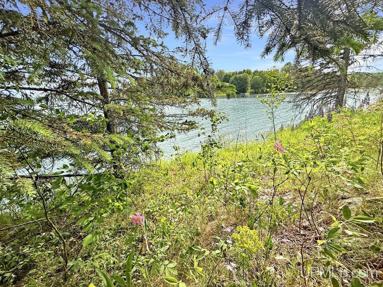 730 Premo Creek Road Crystal Falls, MI 49920 - Photo 54 of 91